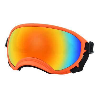 Ski Goggles