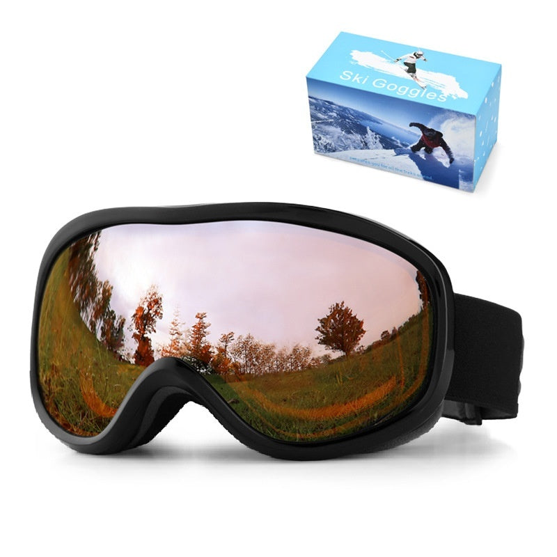 Ski Goggles