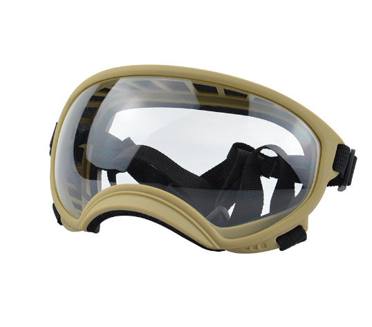 Ski Goggles