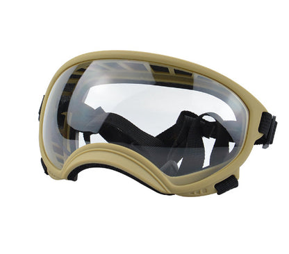 Ski Goggles