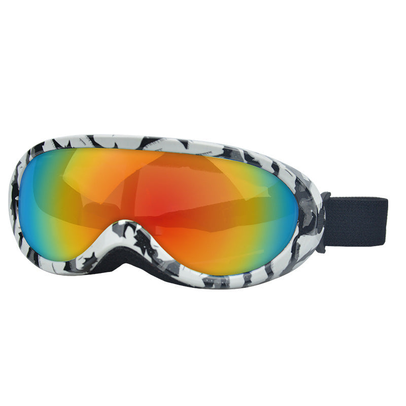 Ski Goggles