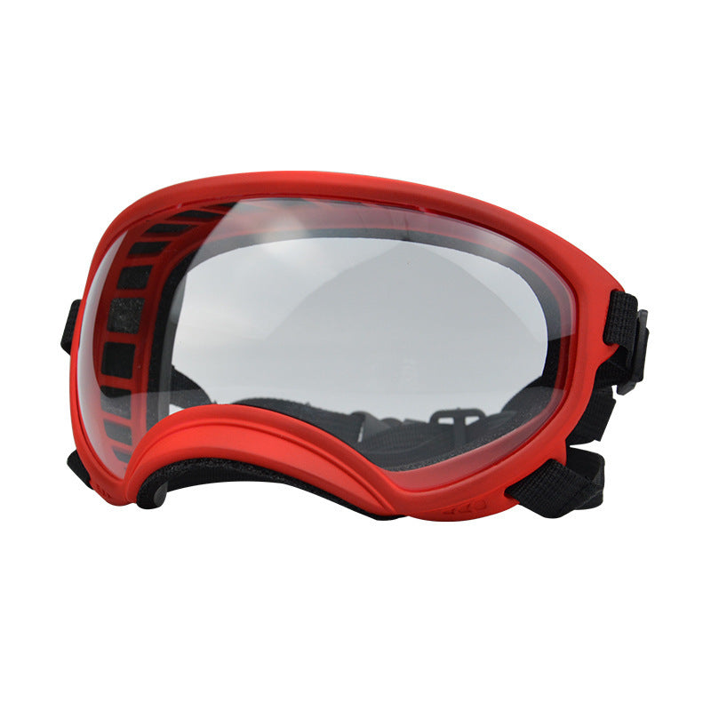 Ski Goggles