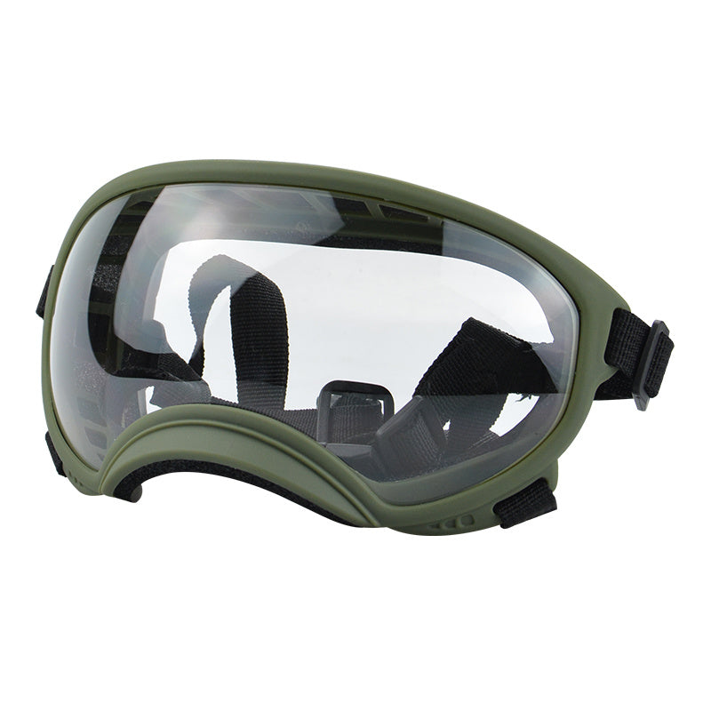 Ski Goggles