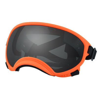Ski Goggles