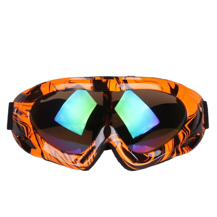 Ski Goggles