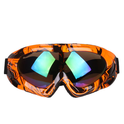 Ski Goggles