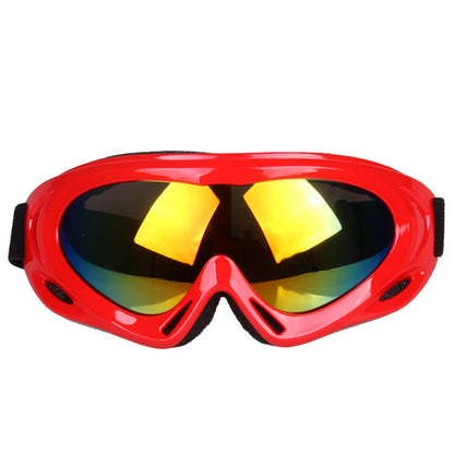 Ski Goggles