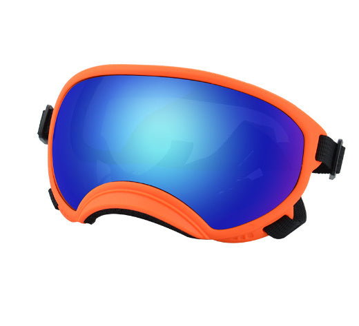 Ski Goggles