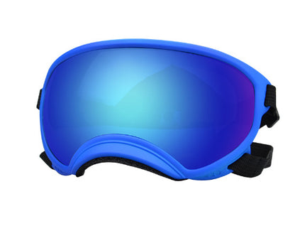 Ski Goggles