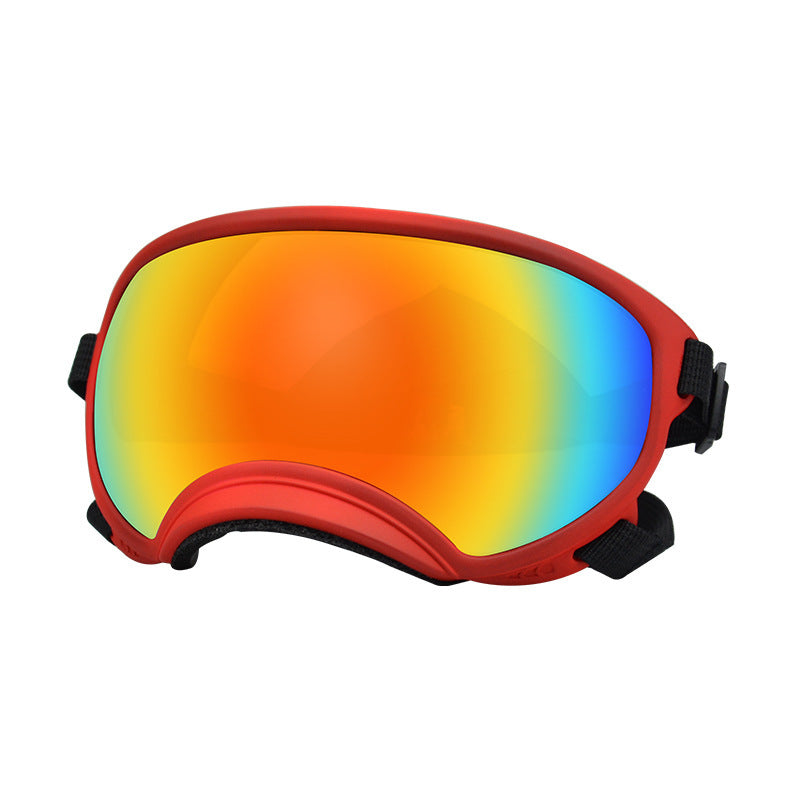Ski Goggles