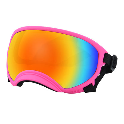 Ski Goggles