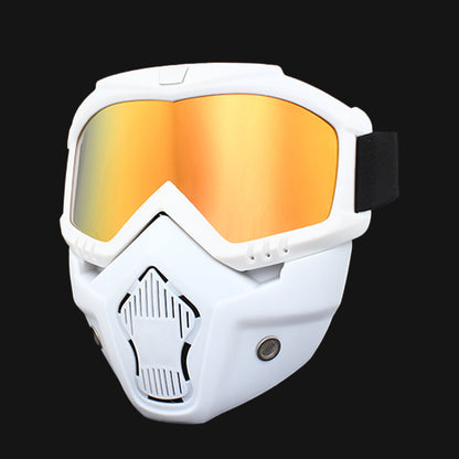 Ski Goggles