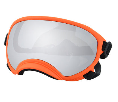 Ski Goggles