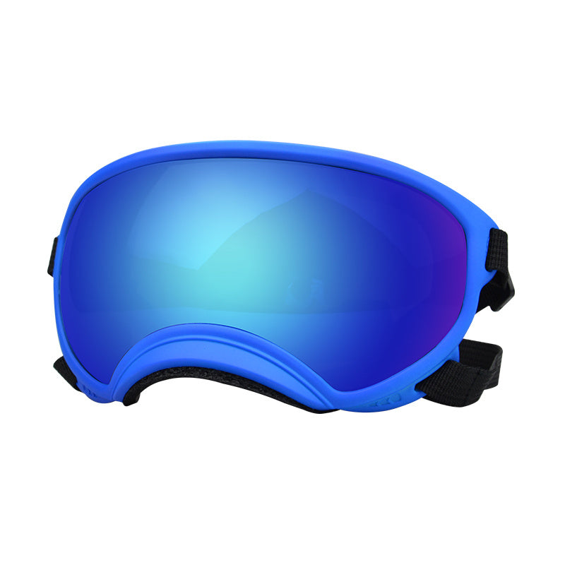 Ski Goggles