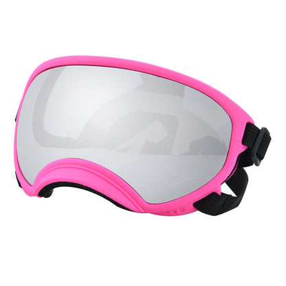 Ski Goggles