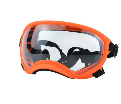 Ski Goggles