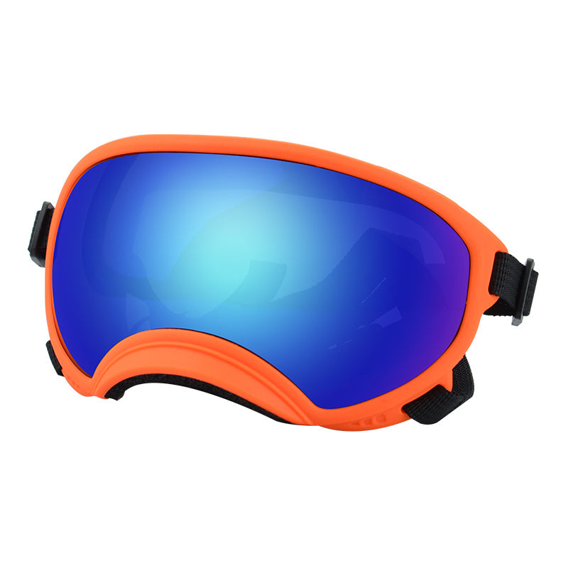Ski Goggles
