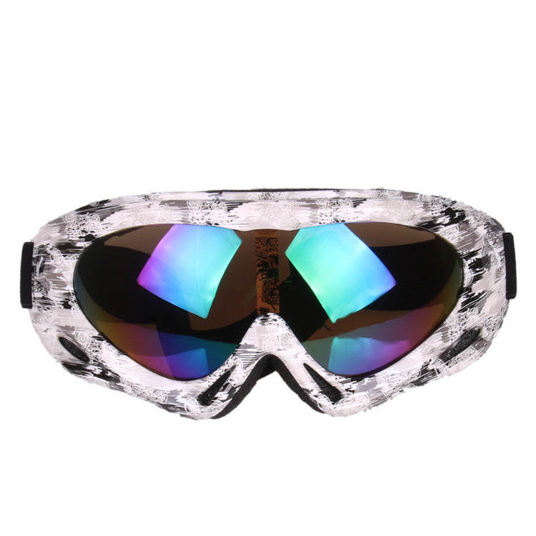 Ski Goggles