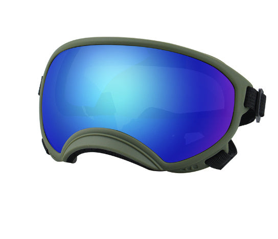 Ski Goggles