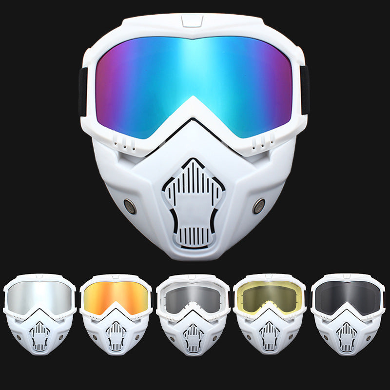 Ski Goggles