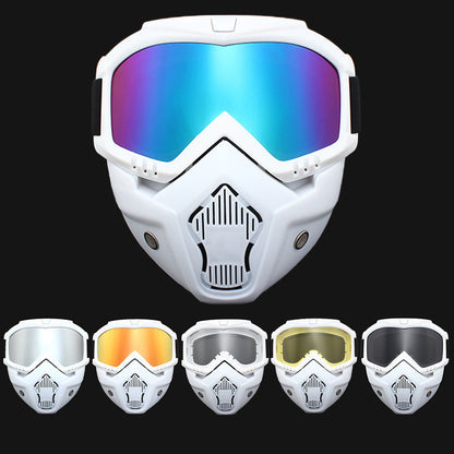 Ski Goggles