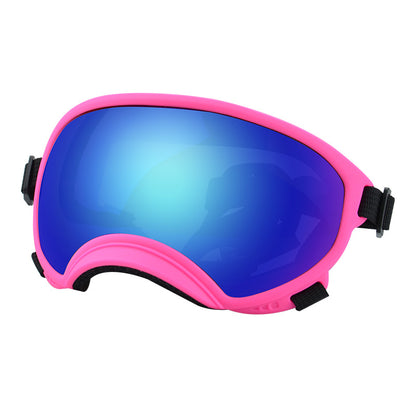 Ski Goggles