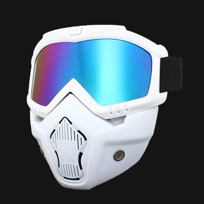 Ski Goggles