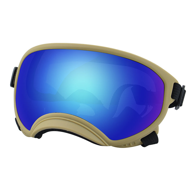 Ski Goggles