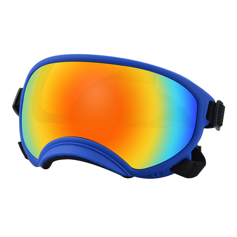 Ski Goggles
