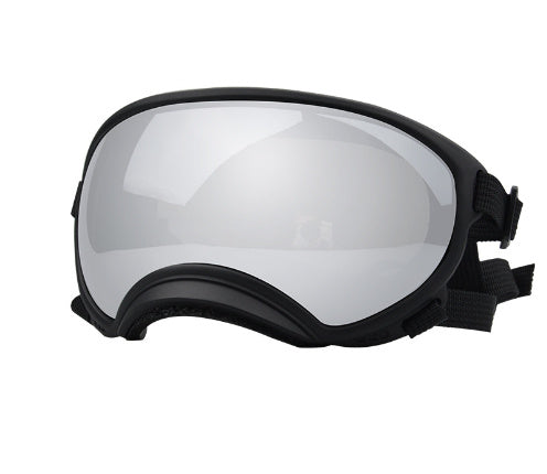 Ski Goggles