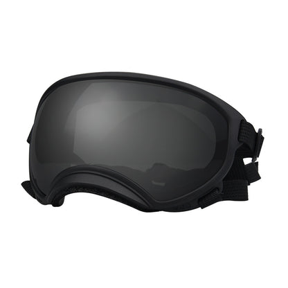 Ski Goggles