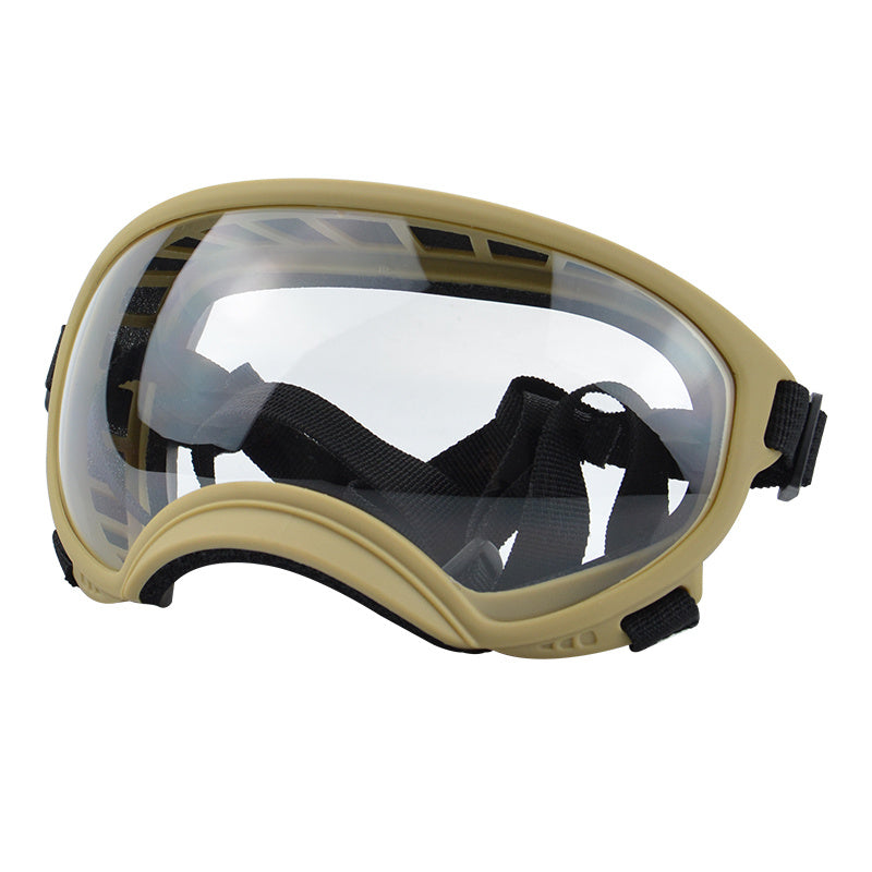 Ski Goggles