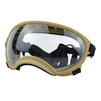 Ski Goggles